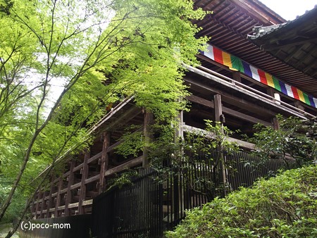 石山寺本堂 P8270378