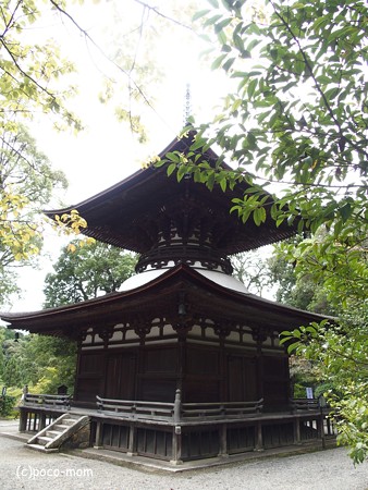 石山寺多宝塔 P8270353