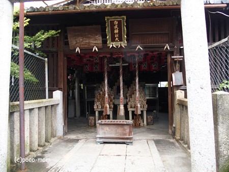 養源院 P8280613