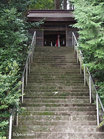余呉町上丹生薬師堂 P9250171