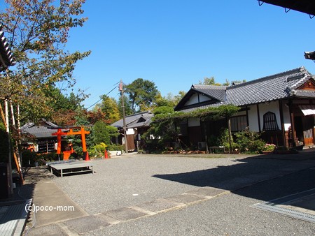 戒光寺 PA160552