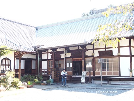 戒光寺 PA160557