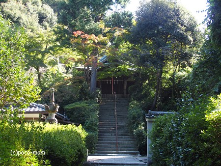 泉涌寺塔頭 来迎院 PA160566