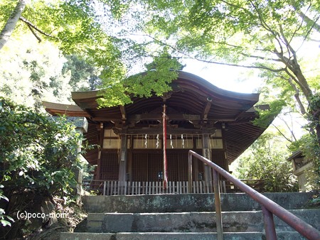 P泉涌寺塔頭 来迎院 A160571