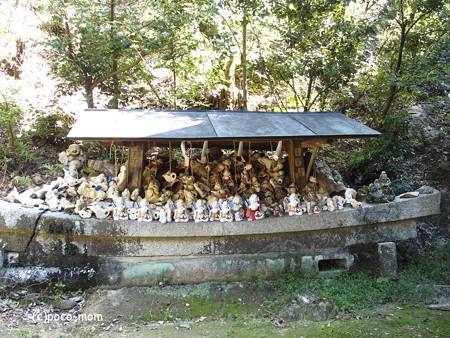 泉涌寺塔頭 来迎院 PA160573