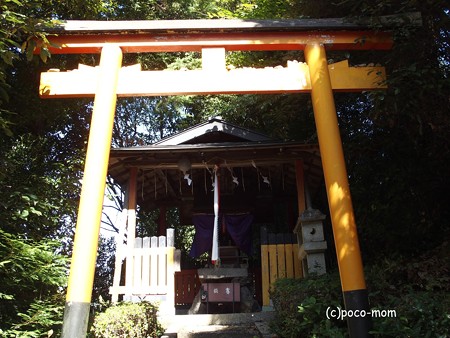 泉涌寺塔頭 来迎院 PA160580
