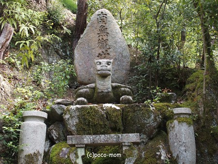 今熊野観音寺 泉涌寺塔頭 PA160614