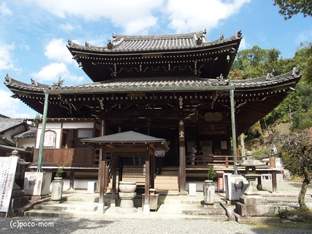今熊野観音寺 泉涌寺塔頭 PA160640