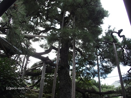 雨宝院 北向山歓喜天 西陣聖天 PA160670