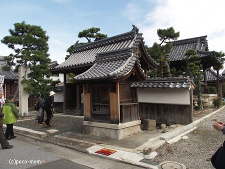滋賀長浜 知善院 PA300015