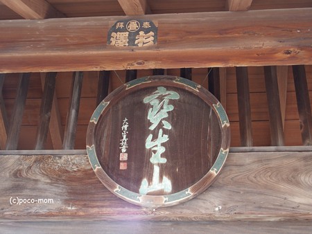 滋賀長浜 知善院 PA300018