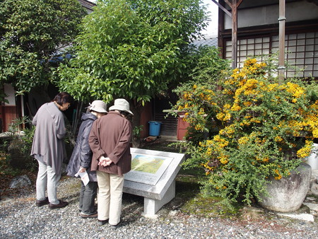 滋賀長浜 知善院 PA300037