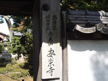 長浜 安楽寺 PA300051