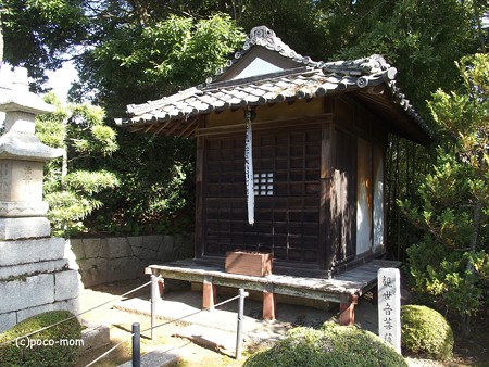 長浜 安楽寺 PA300054