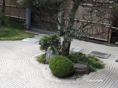 長浜 安楽寺 PA300060