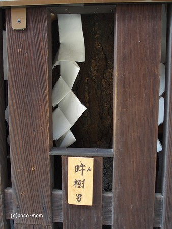 平等寺因幡堂 PB030290