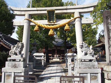 岡本神社・小谷丁野観音堂 PA300075