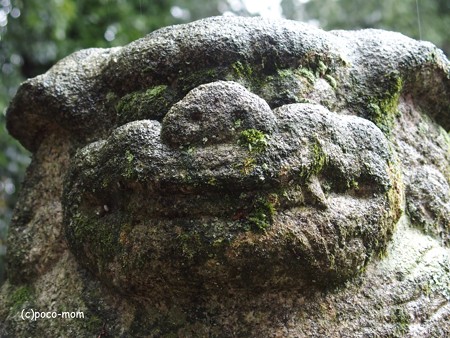 與志漏神社PB270621