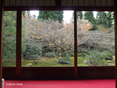 雲龍院 泉涌寺塔頭 PC110861