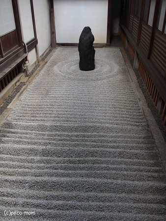 雲龍院 泉涌寺塔頭 PC110863