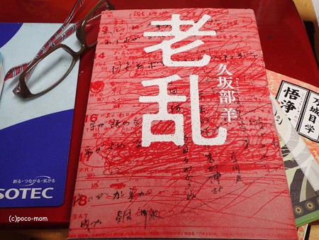 老乱 PC2516761