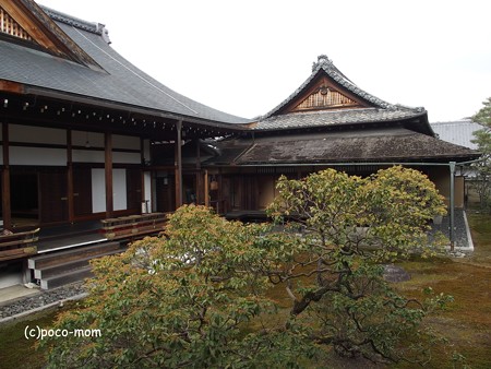 聖護院 P1220906