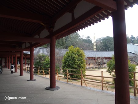 東大寺大仏殿 回廊 P1220996