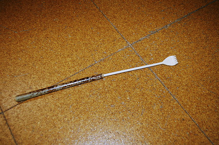 2010年12月27日_DSC_0386