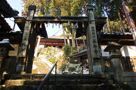 2011年01月09日_DSC_0159