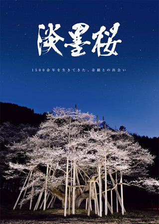 usuzumiwebgenga