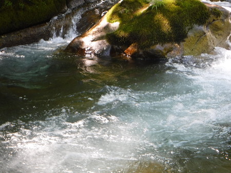 DSCF0438