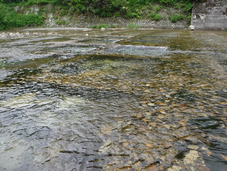 DSCF0555