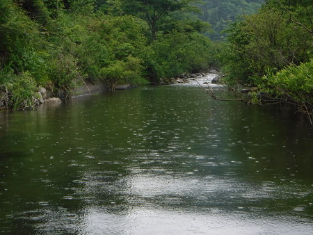 DSCF0556