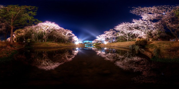 はままつフラワーパーク　夜桜　360度パノラマ写真(2) HDR
