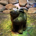 臨済寺　壺庭の”兎”