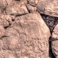 駿府城天守台発掘調査　石垣の刻印（１）