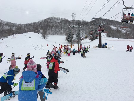 20161229_013405195_iOS