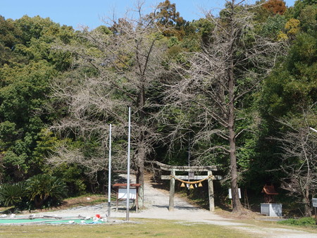 P3050140