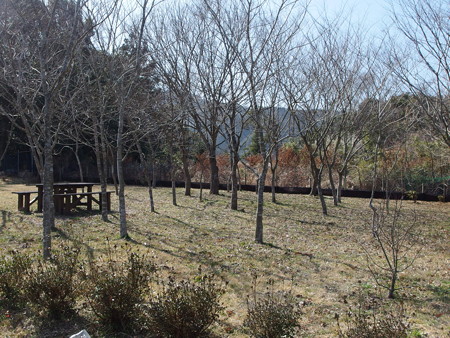 P3080155