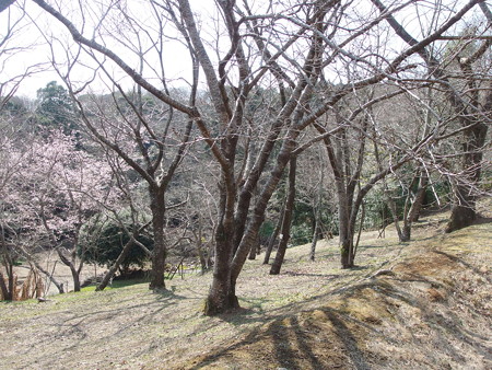 P3120221