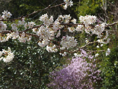 P3120236