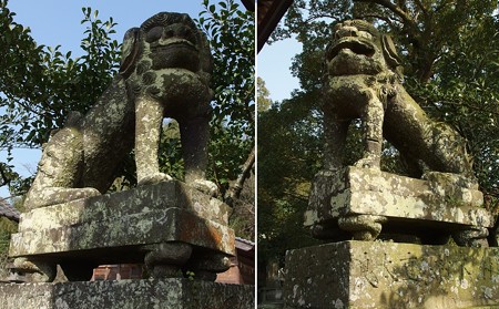 matsuo P3210393e