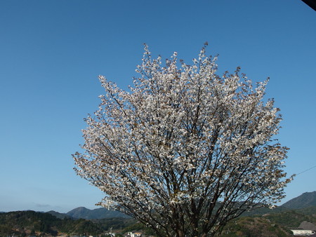 P3200320
