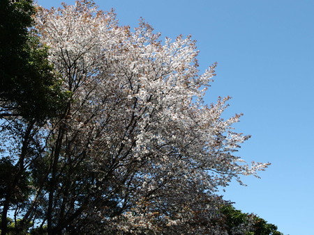 P3230632