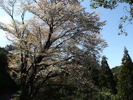 P3230633