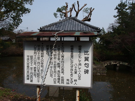 P3220550