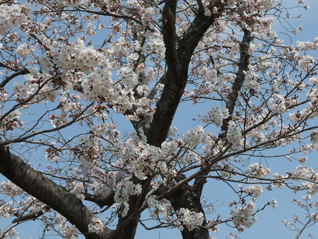 P3300740