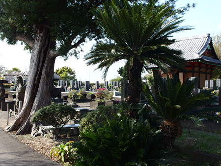 P4010899