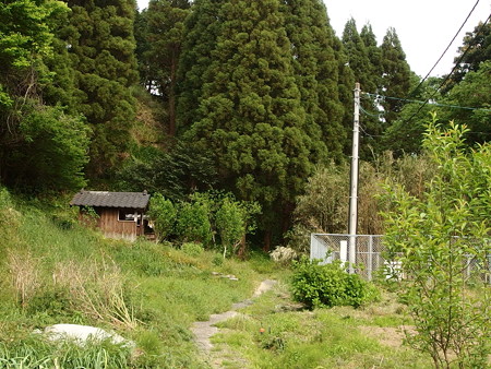 P4181304