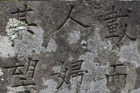 P4221387s